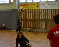 volleyball 2013 22
